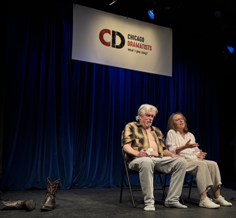 What Baggage - Chicago Dramatists